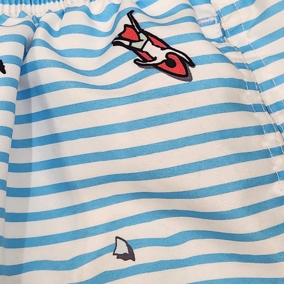 Boardies Men’s Swim Shorts Trunks Striped Blue White Size Medium - Picture 4 of 16